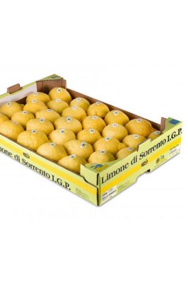 limonesolagricassetta